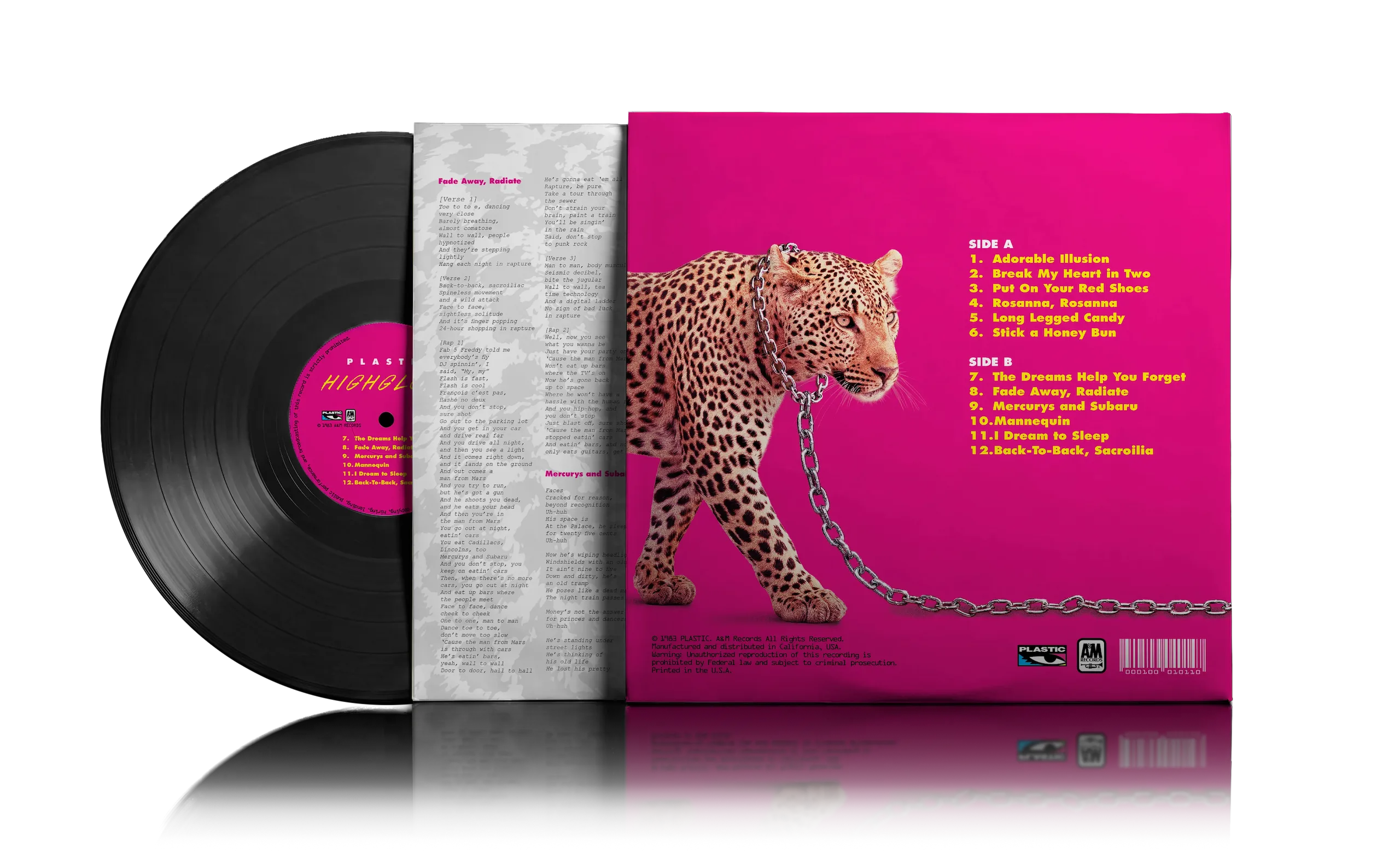 Vinyl back mockup
